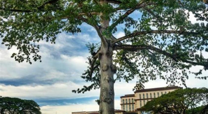 Kuok Pin Hotel Κουτσίνγκ Εξωτερικό φωτογραφία